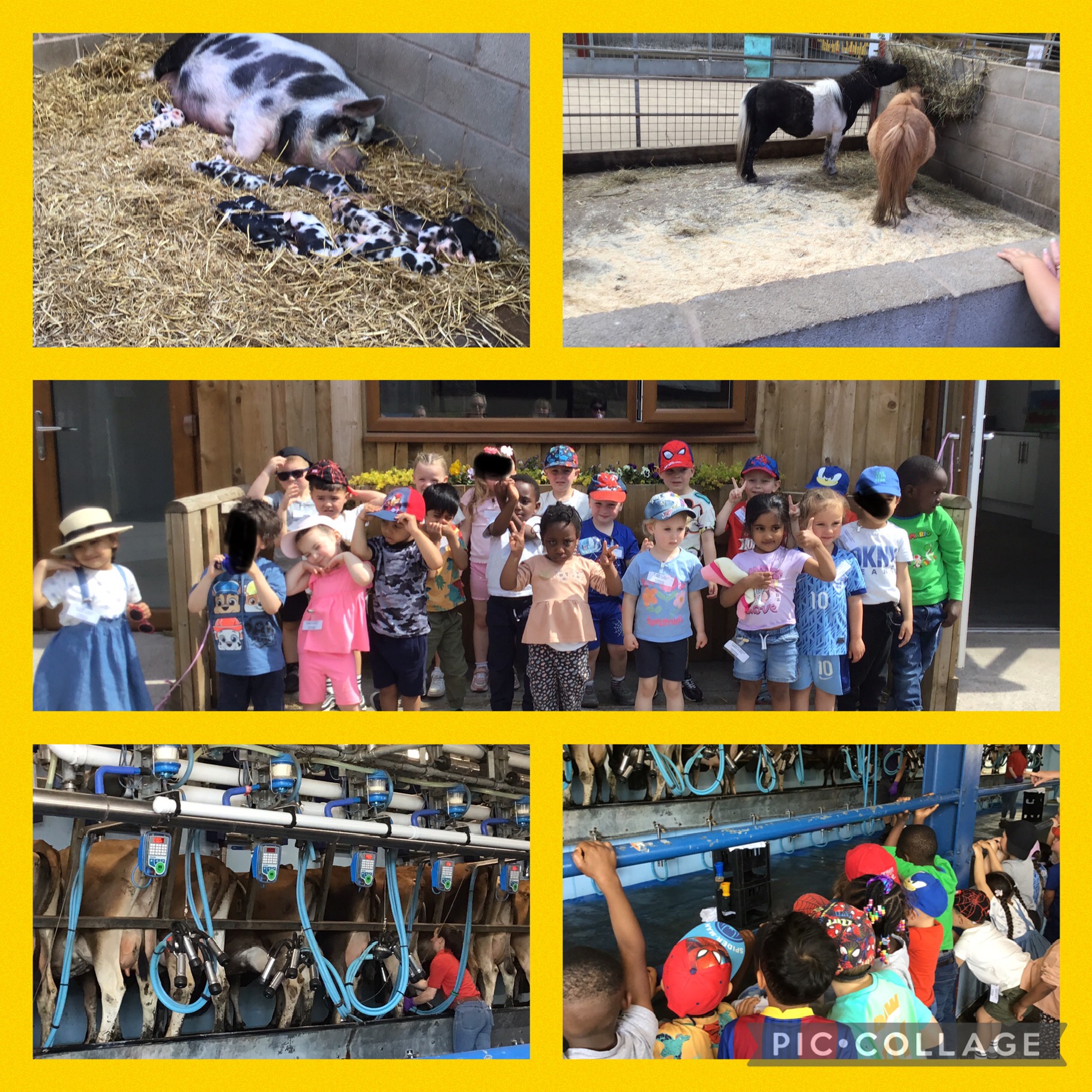 Image of We had a fantastic trip to the farm