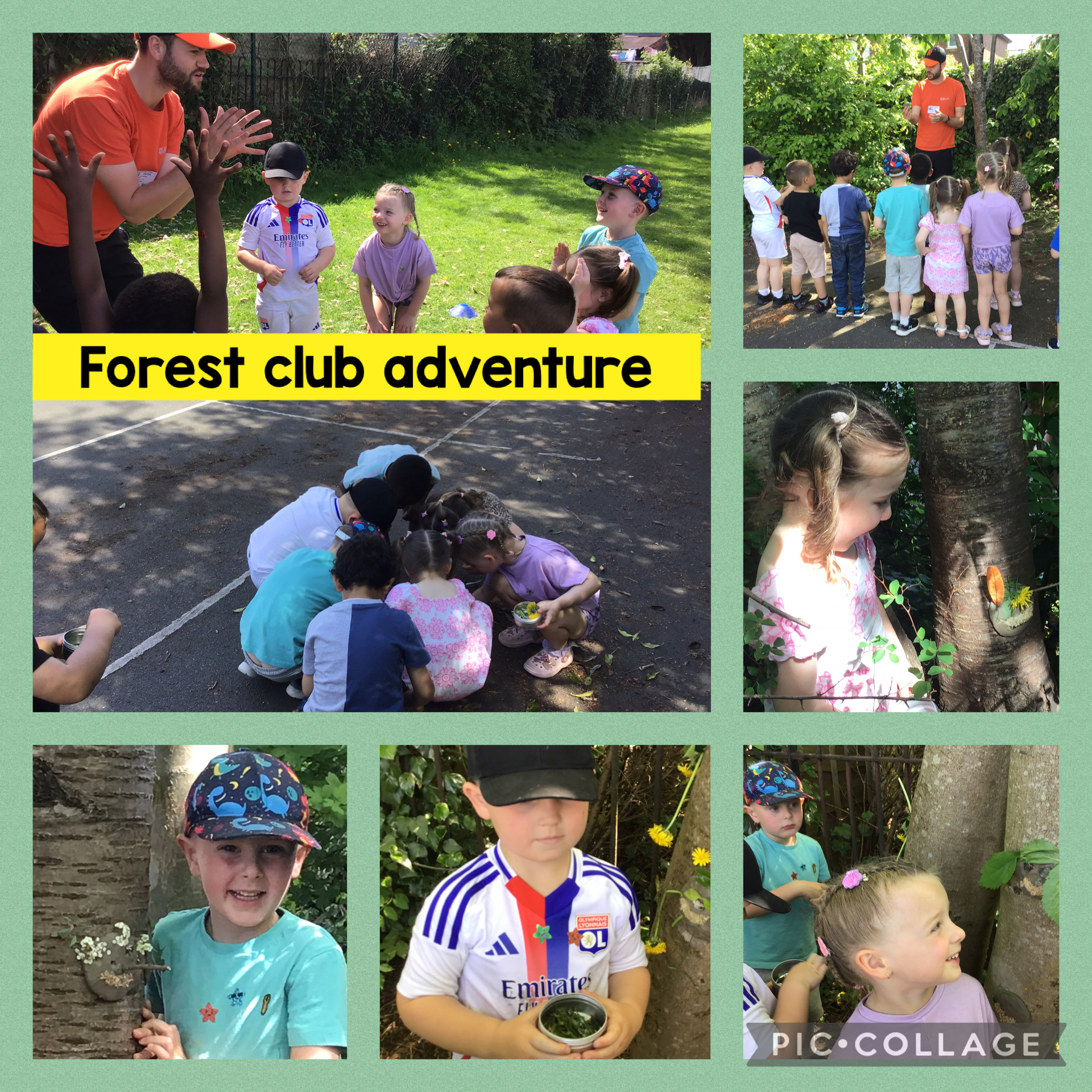 Image of Forest club adventures