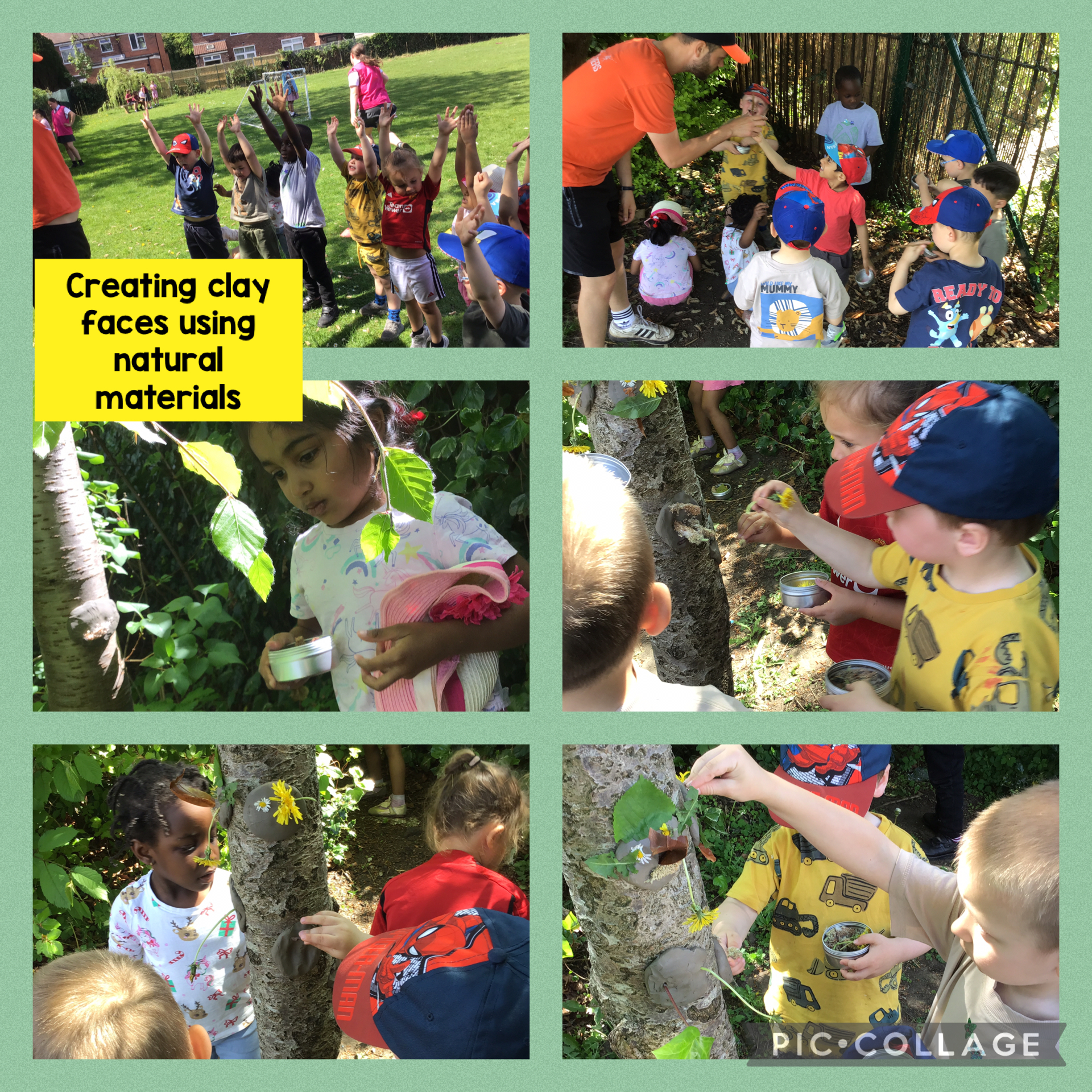 Image of Forest club adventures