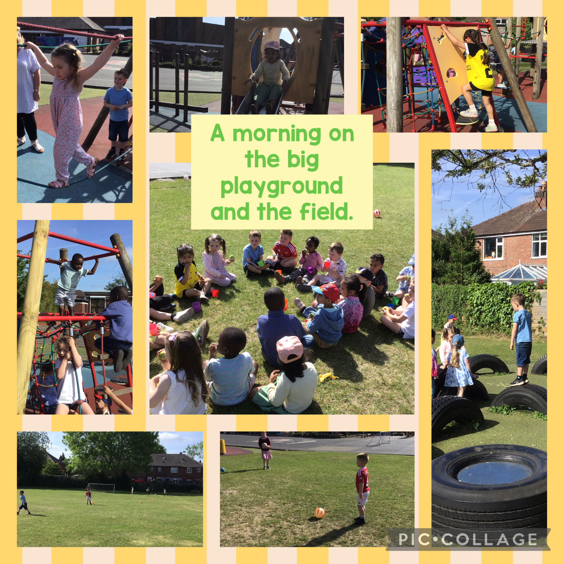 Image of Enjoying the big playground