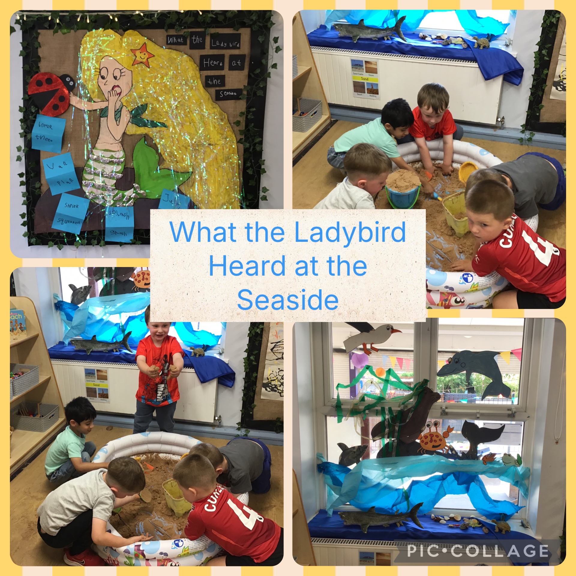 Image of What the Ladybird Heard at the Seaside 