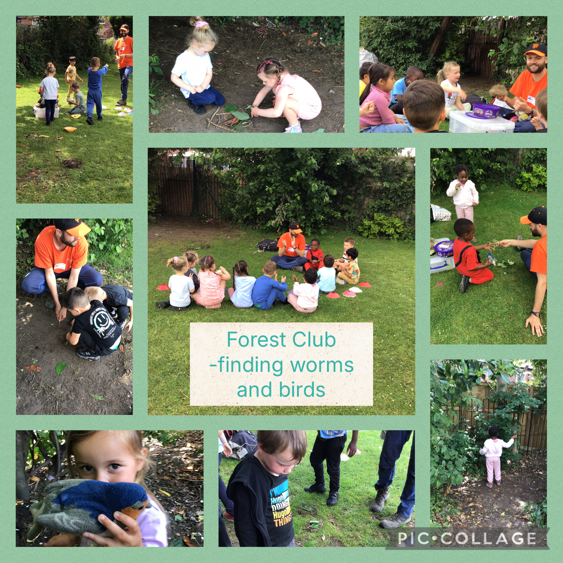 Image of Forest Club