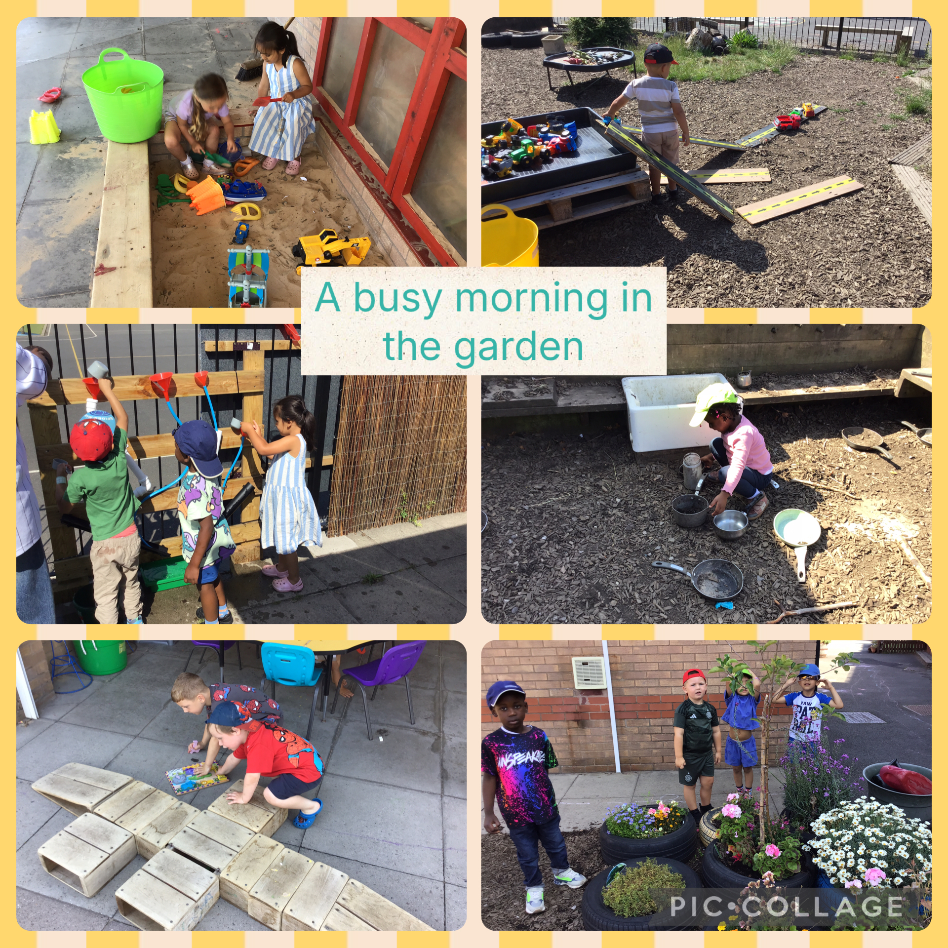 Image of A busy morning in the sunshine ☀️ 