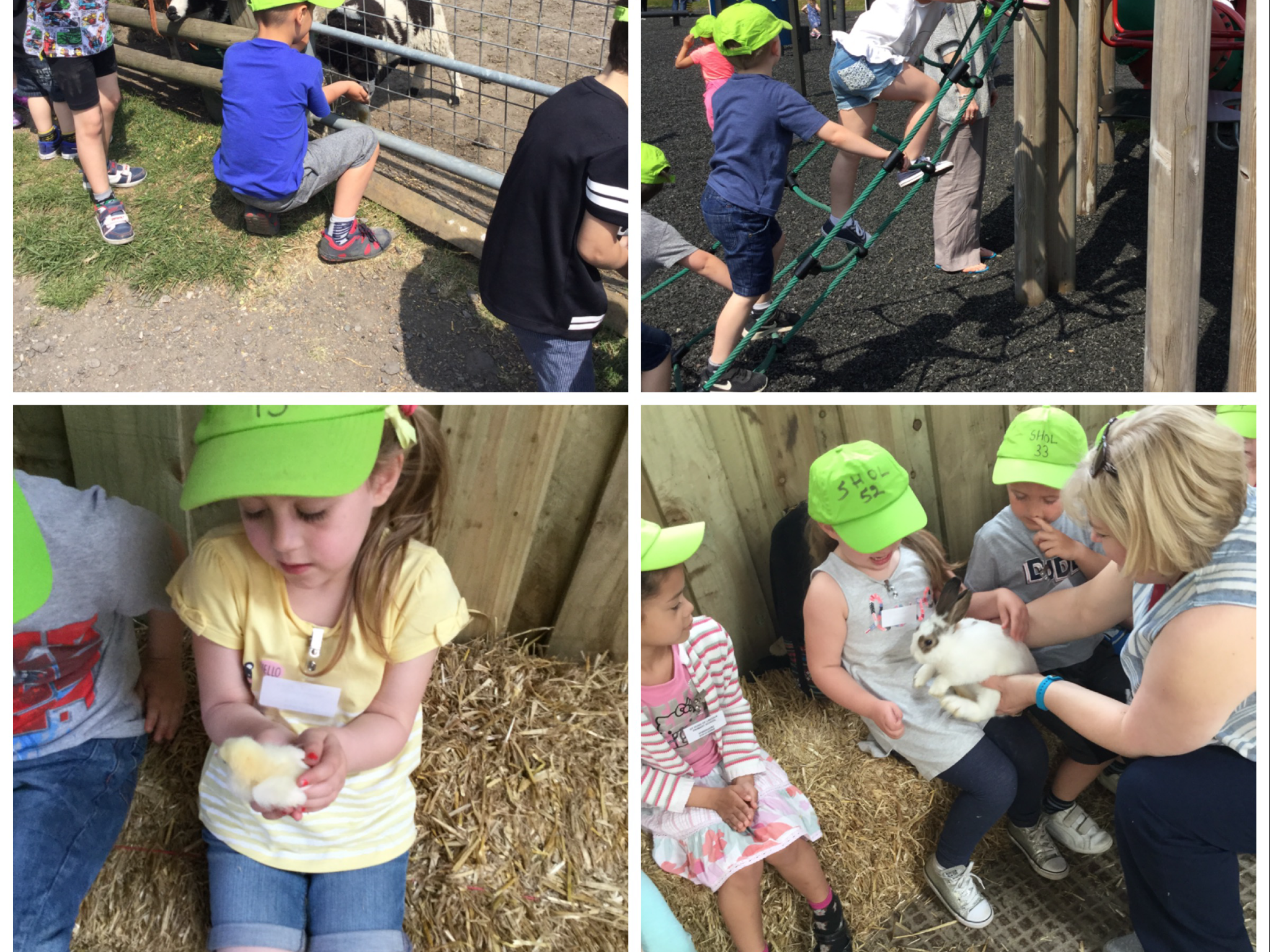 Image of Fun on the farm ! 