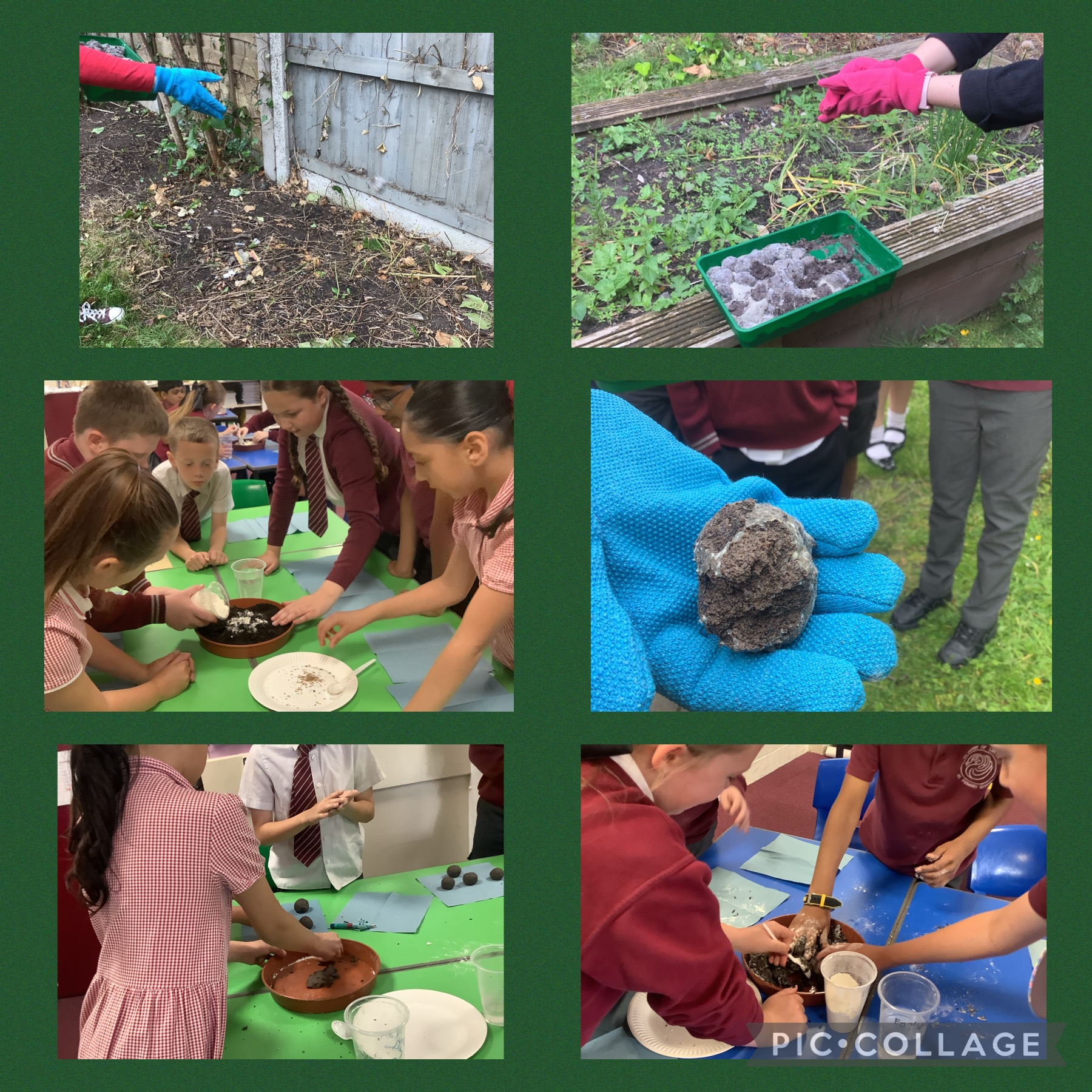 Image of Creating and planting wildflower seed bombs!