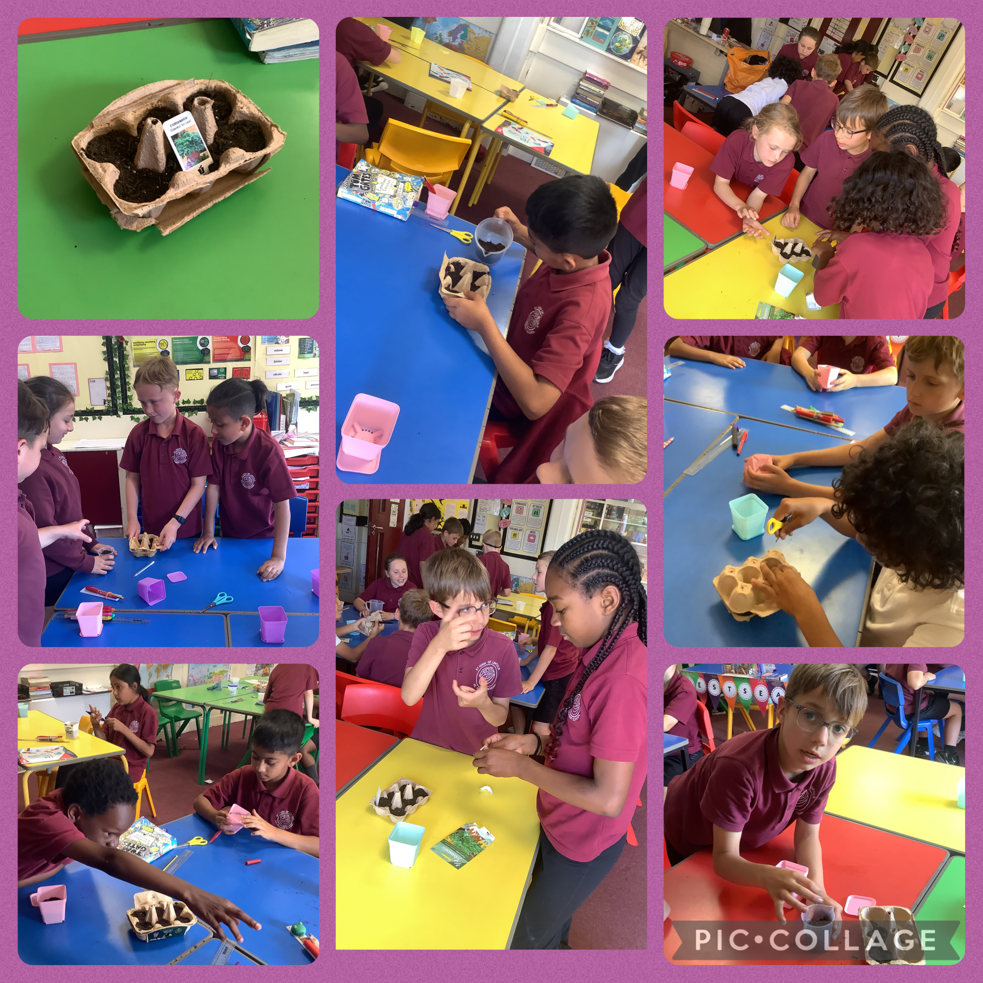 Image of Creating our own mini greenhouses!