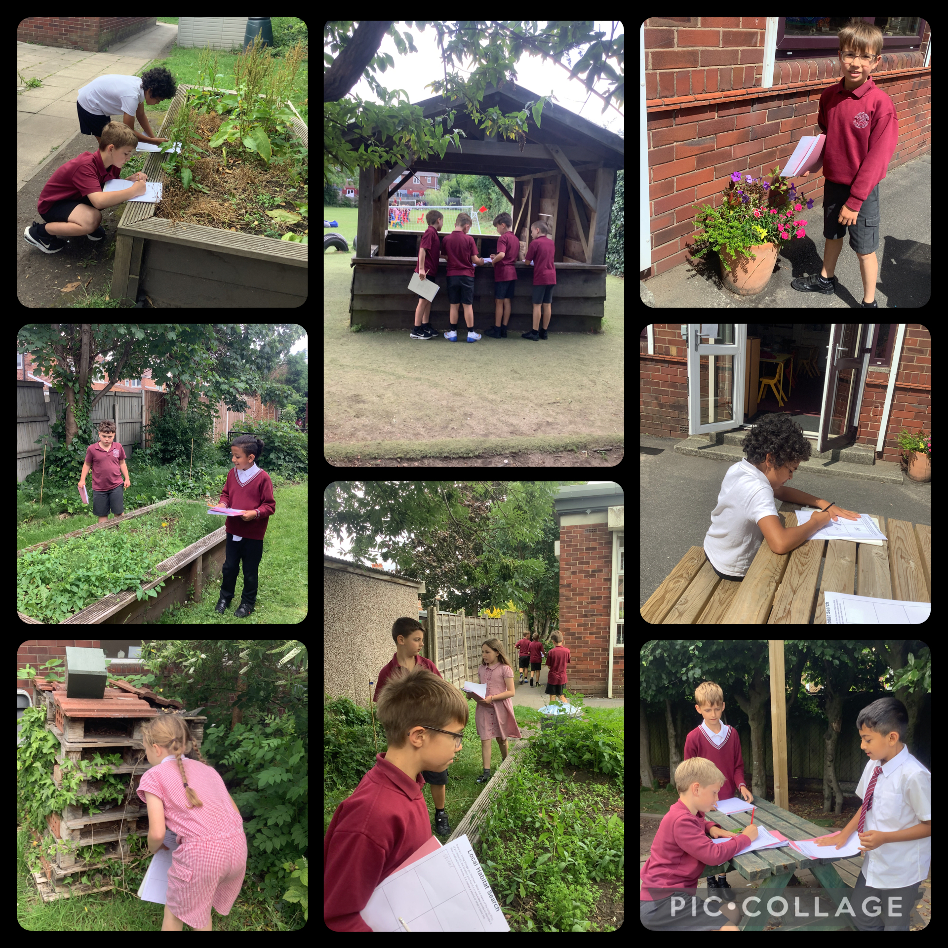 Image of Exploring living things in our local habitat! 