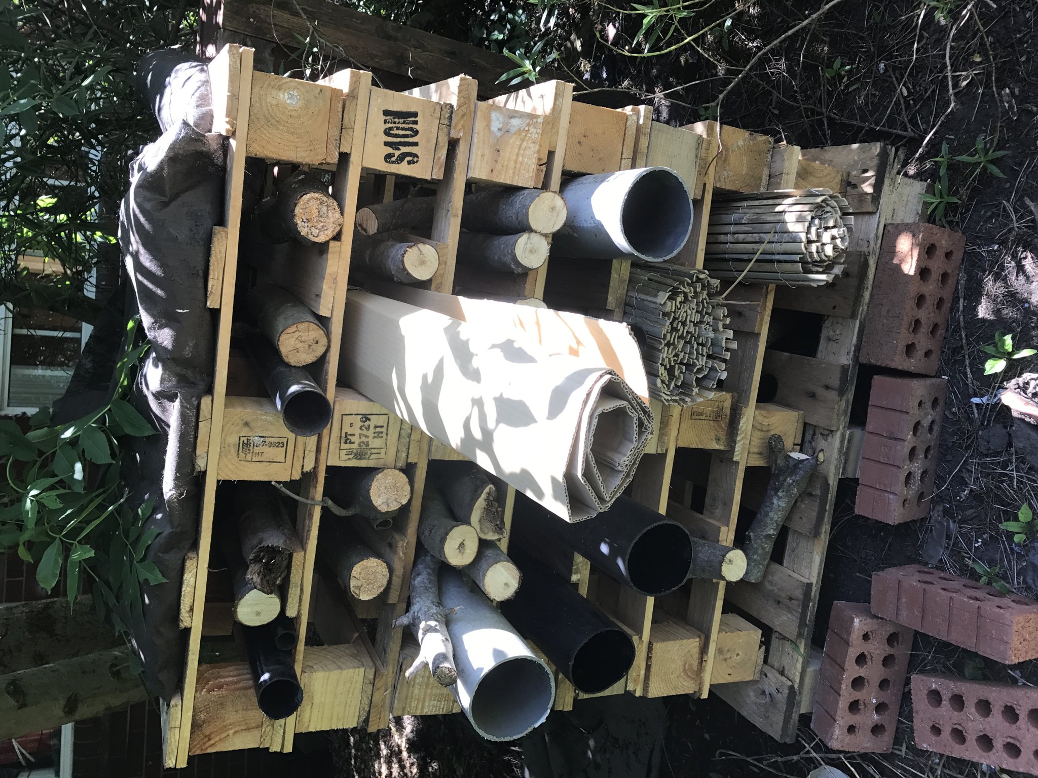 Image of Habitats - Bug hotel ( day 1!) Year 3/4