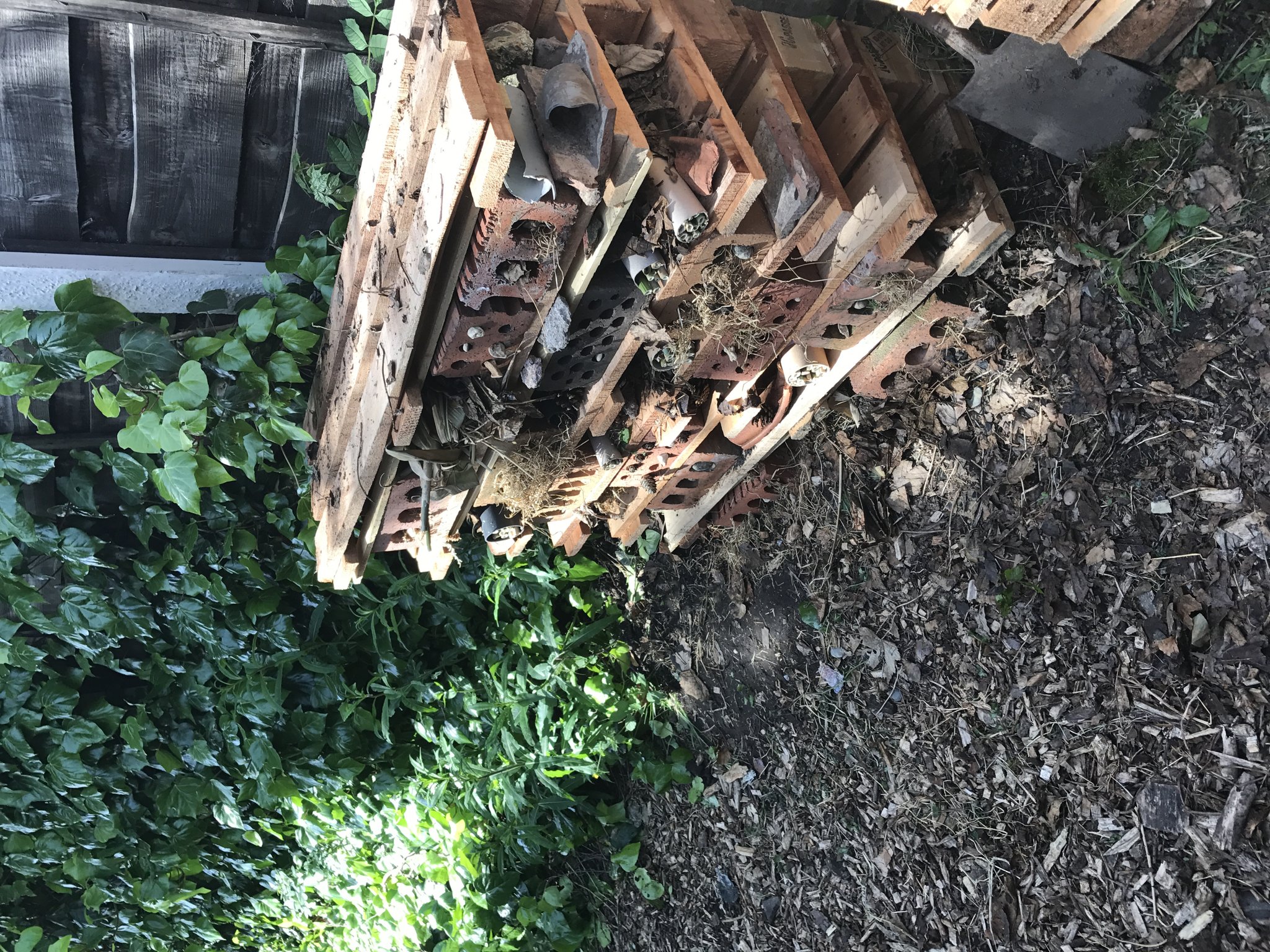 Image of Habitats - Bug Hotel (day 2) Year 3/4