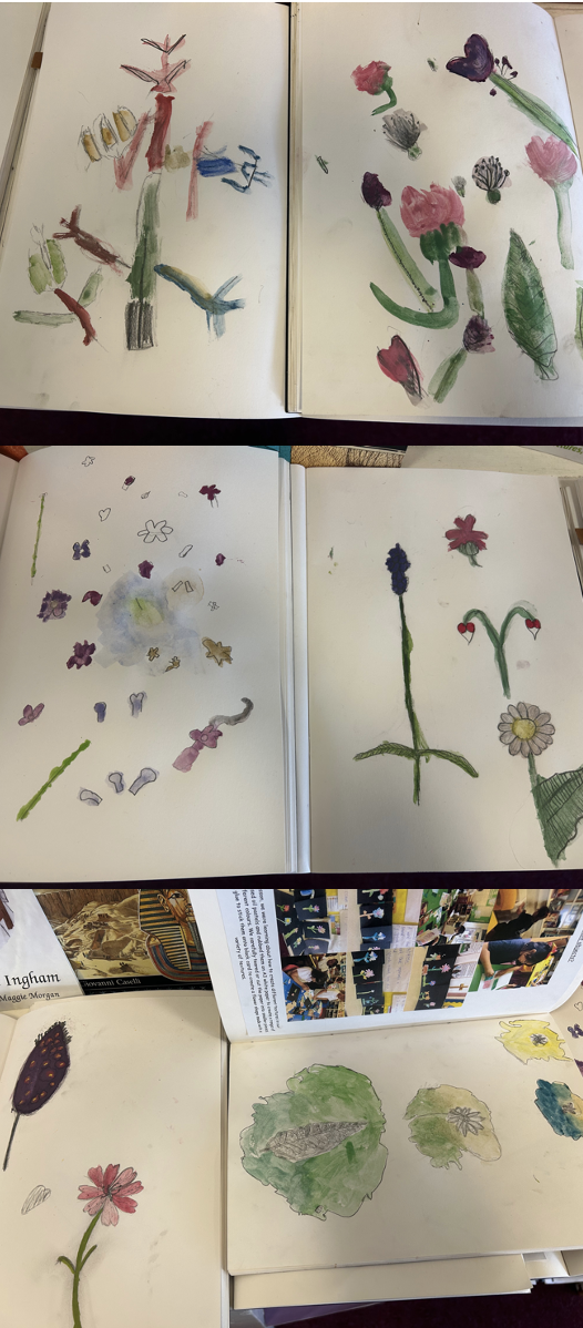 Image of Botanical drawing in art!