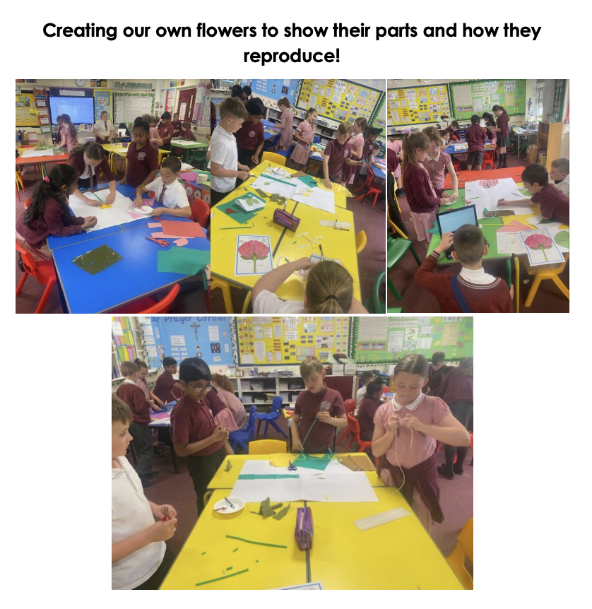 Image of Creating our own flowers to show their parts and how they reproduce!