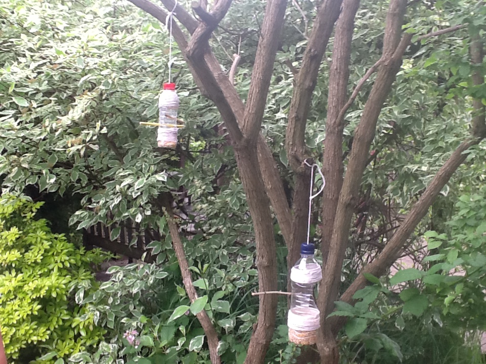 Image of Bird feeders