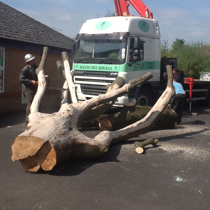 Image of Outdoor Play Learning!