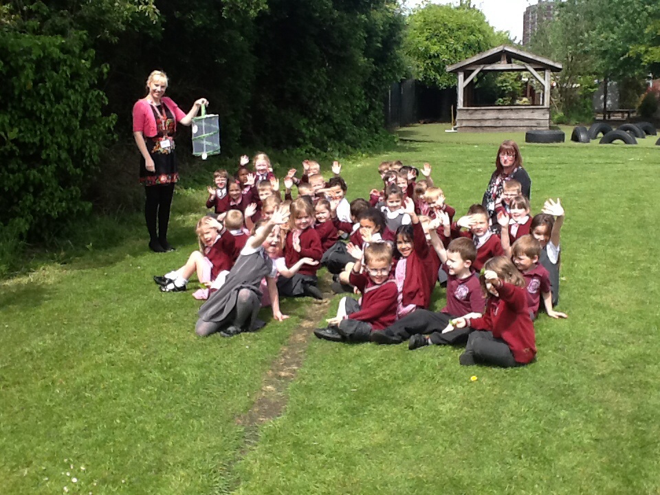 Image of Releasing Our Butterflies