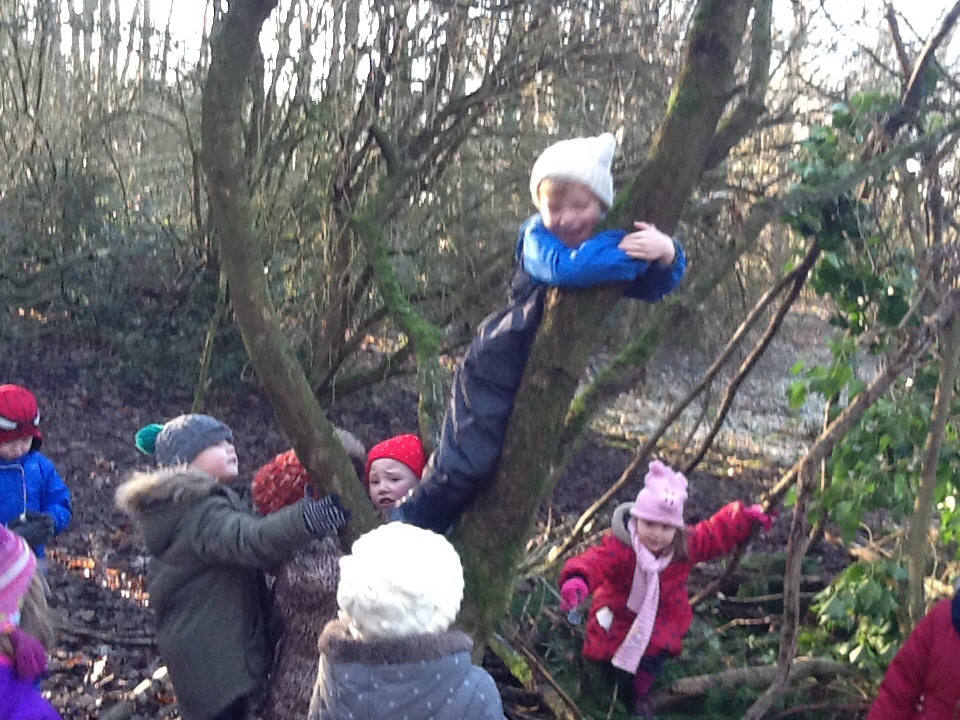 Image of Climbing trees!