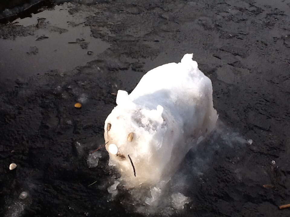 Image of A Snow Bob!