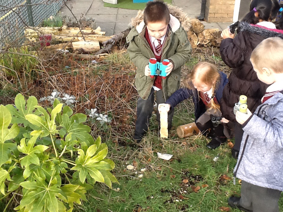 Image of Hunting For Dinosaur Bones!