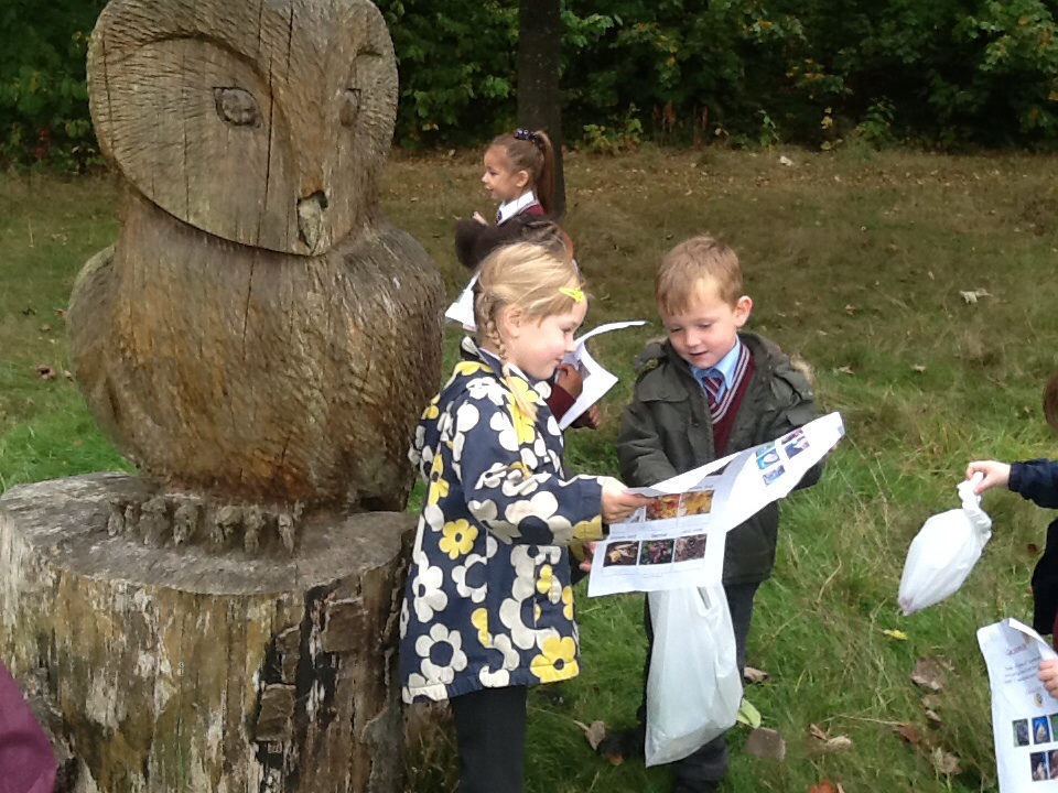 Image of Our Autumn Walk!