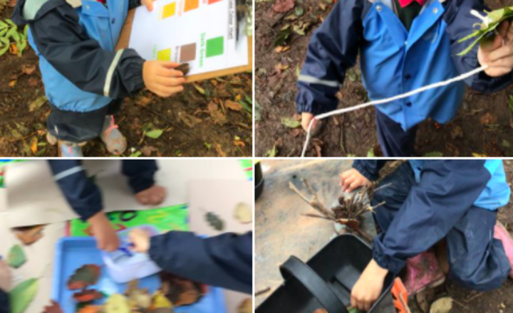 Image of Autumnal Fun at Little Leaves for Pre School.