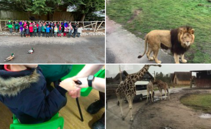 Image of Year 1 had an amazing time at  West Midland Safari Park!