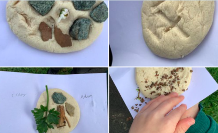 Image of Yr3 ended their science topic on rocks this week by making their own fossils. 