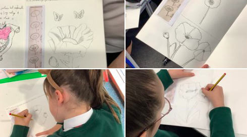 Image of Yr6 have been developing their sketching skills by sketching poppies. Brilliant job Yr6