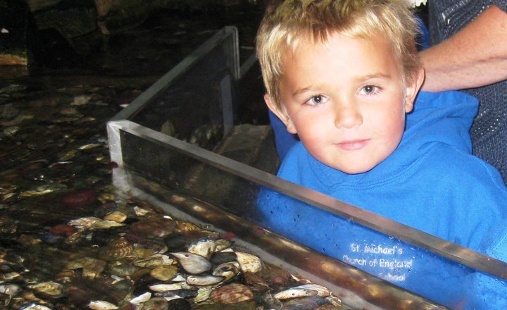 Image of Reception visit Maryport Aquarium