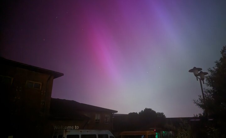 Image of Northern Lights at St Nicholas School