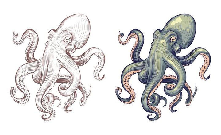 Image of Mercury Class - Blub the Octopus