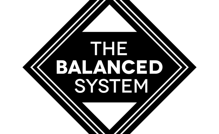 Image of The Balanced System: Centre of Excellence - Celebration Event