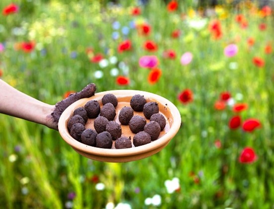 Image of Plant sale