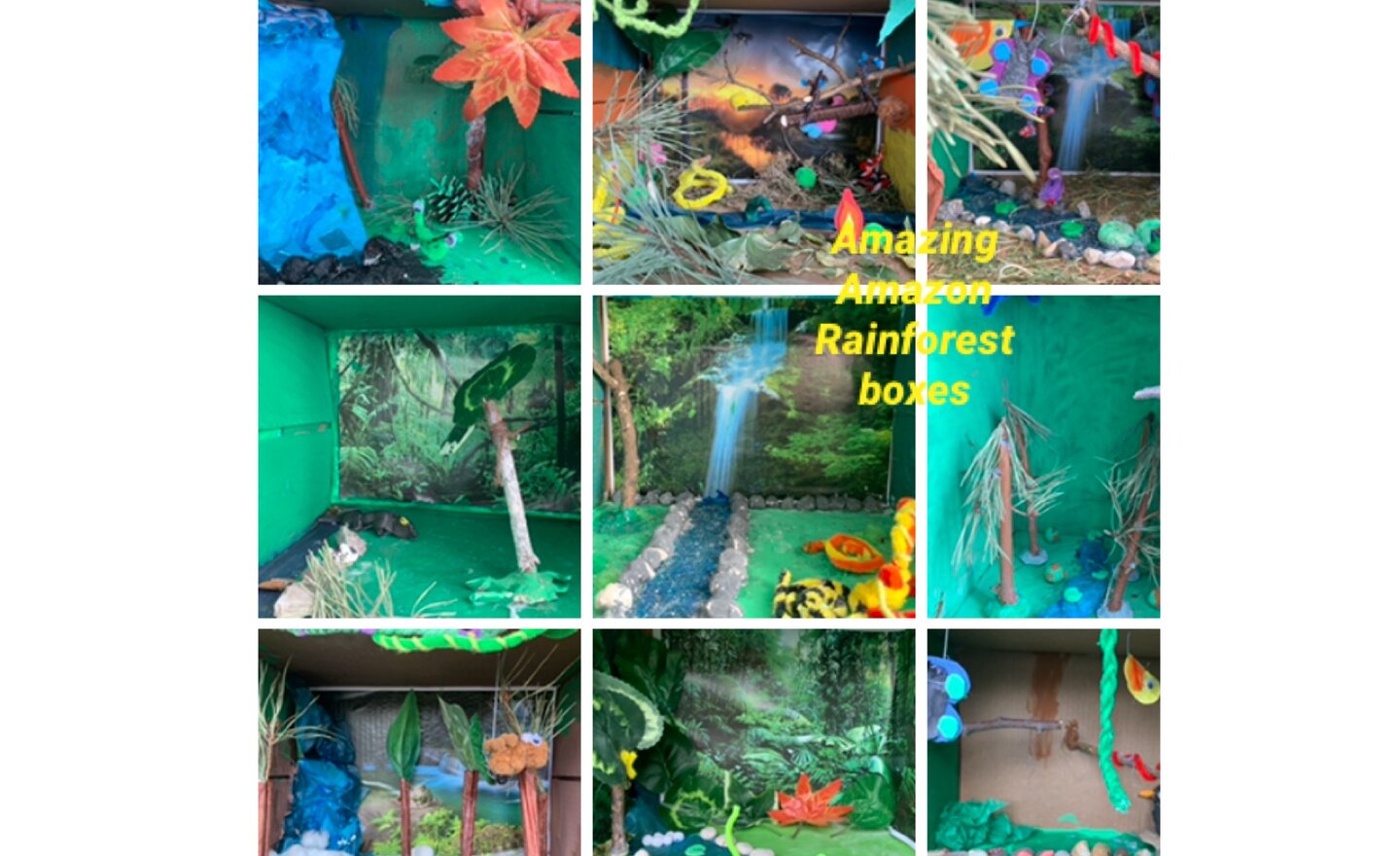 Image of Rainforest worlds 