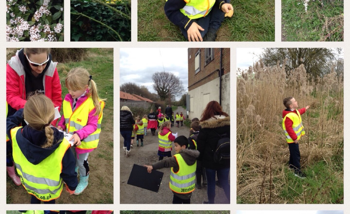 Image of Spotting Spring on our local walk...