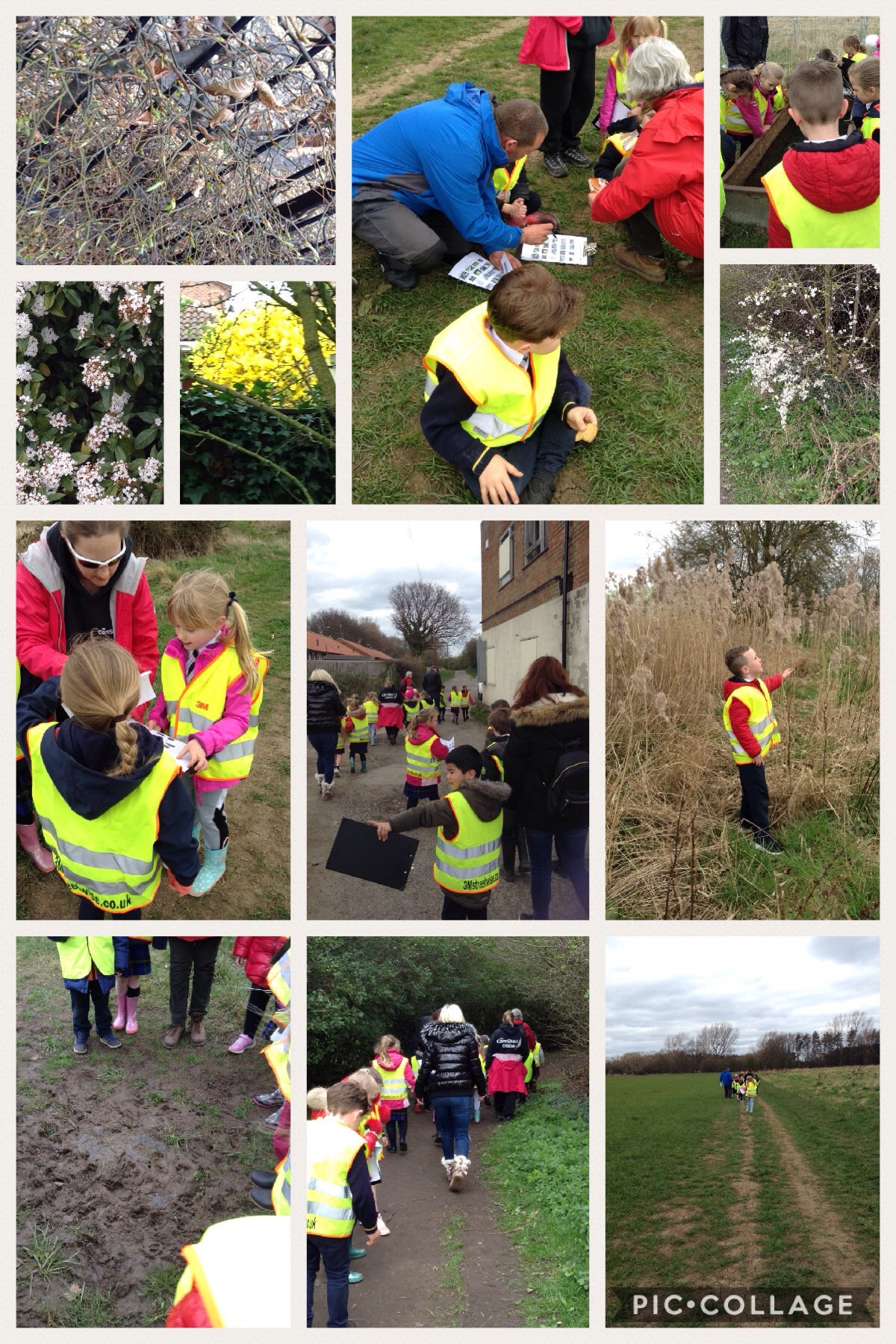 Image of Spotting Spring on our local walk...