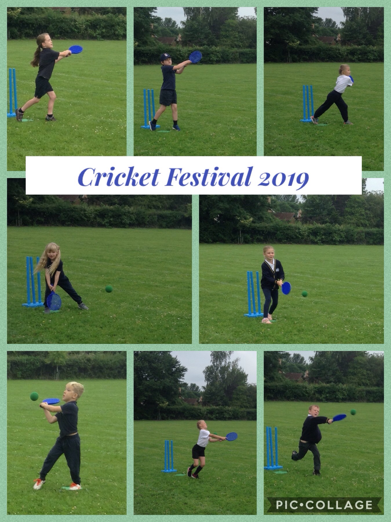 Image of Cricket Festival 2019 