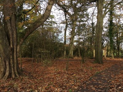 Image of Liturgy and Autumn