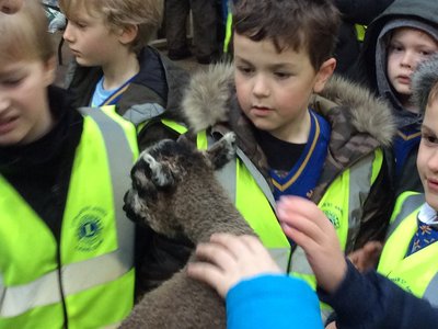 Image of Greenlands Farm Visit