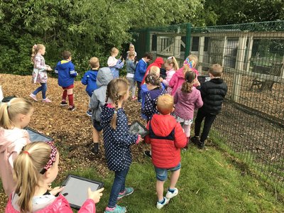 Image of Year 1 Ipads in Squirrel wood