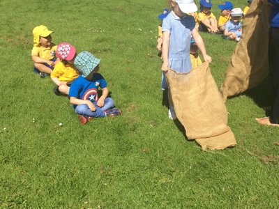 Image of Kindy mini sports day