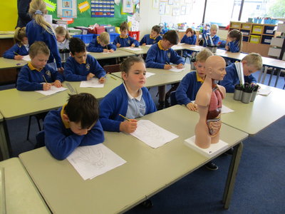 Image of Year 3 Health Week Activities - Heartbeat