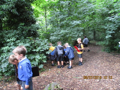 Image of Year 1 Measures Treasure Hunt