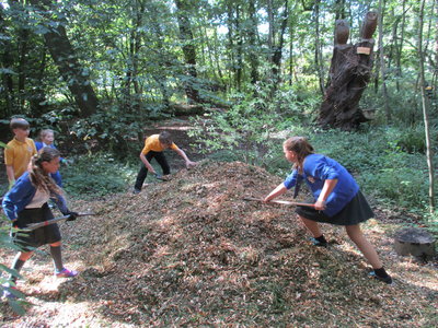 Image of Digging in Squirrel Wood