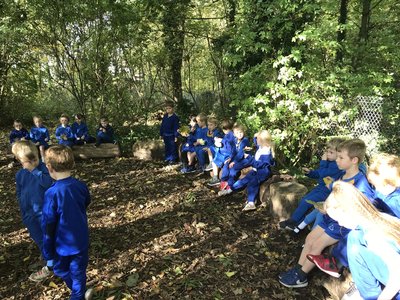 Image of Y1 a walk in squirrel wood.