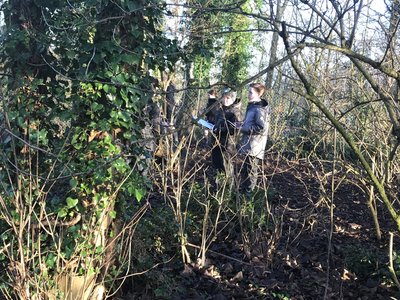 Image of Year 6 in Squirrel Wood