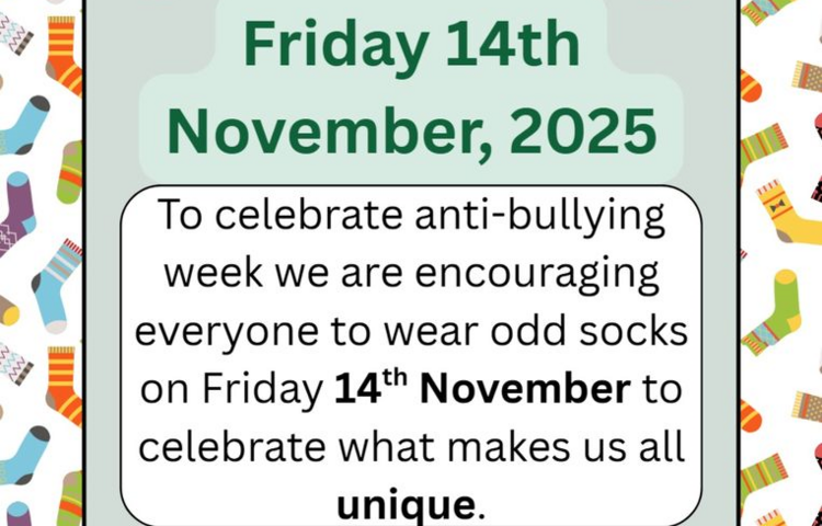 Image of Odd Socks Day