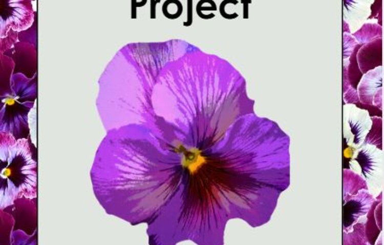 Image of P1/2 Pansy Pots!