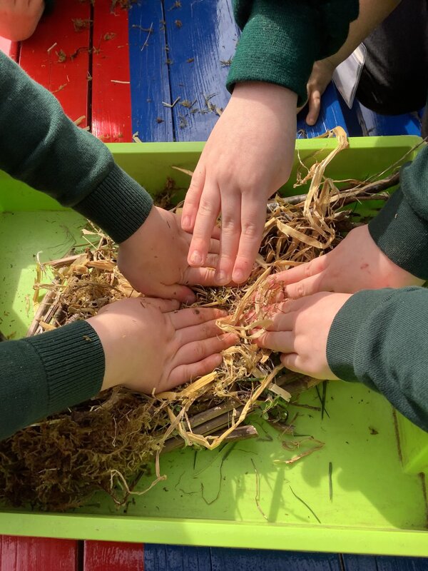 Image of Making a Bird Nest!