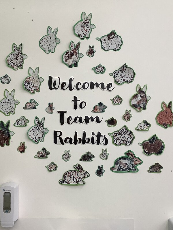 Image of Welcome to Team Rabbits!