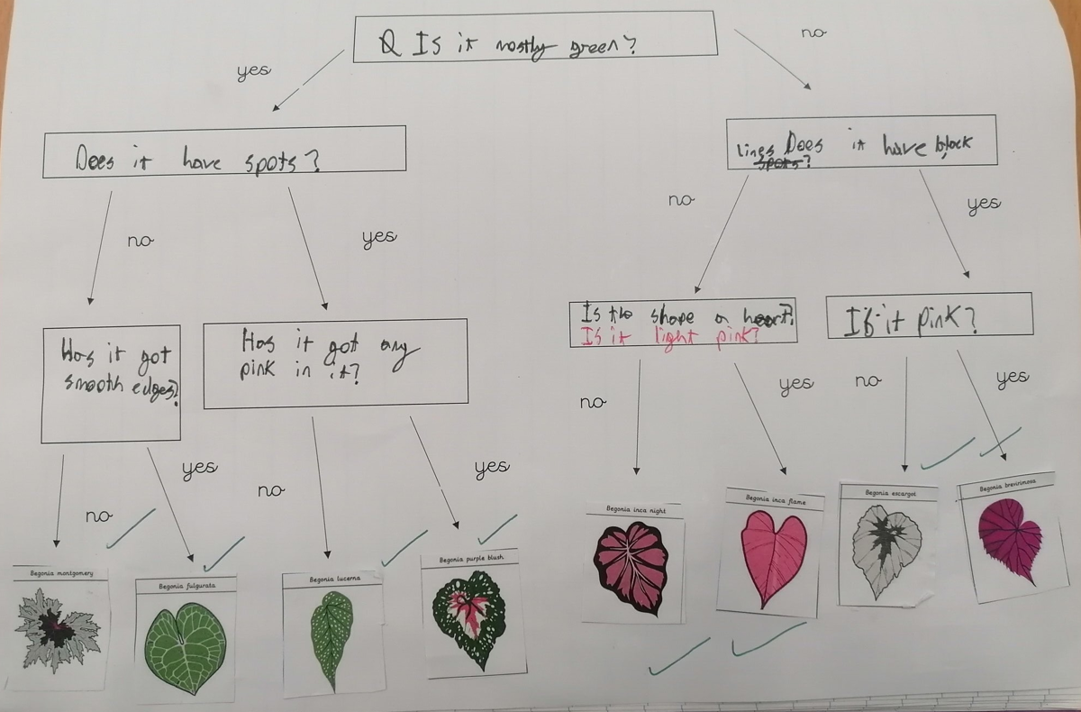 Image of Super Science in Orchard