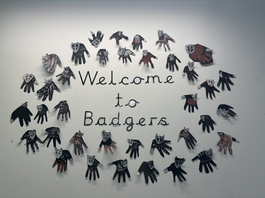 Image of Welcome to Team Badgers!